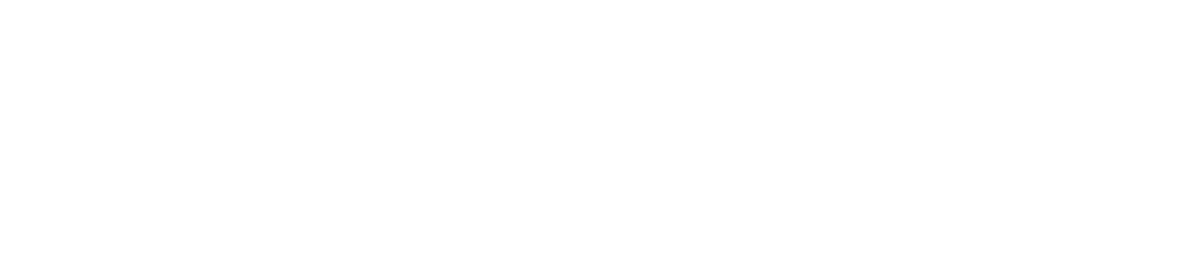 DTE Capital Partners